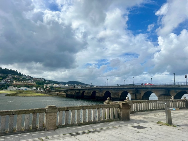 viveiro viveiro na galicia