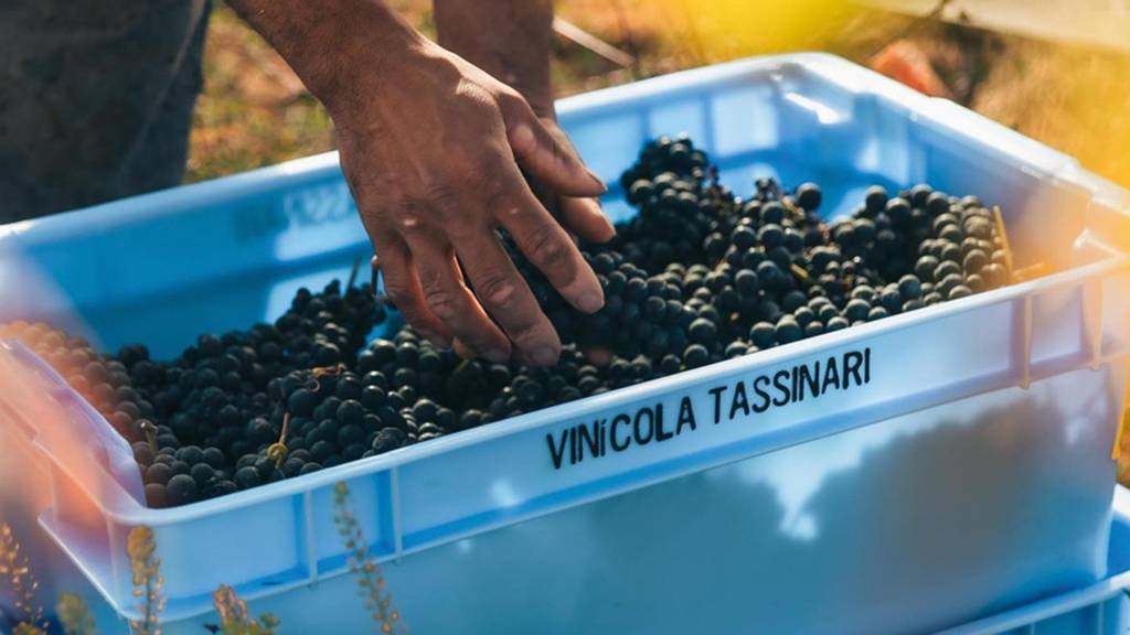 VEJA Rio de junho mergulha nas vinícolas da região serrana