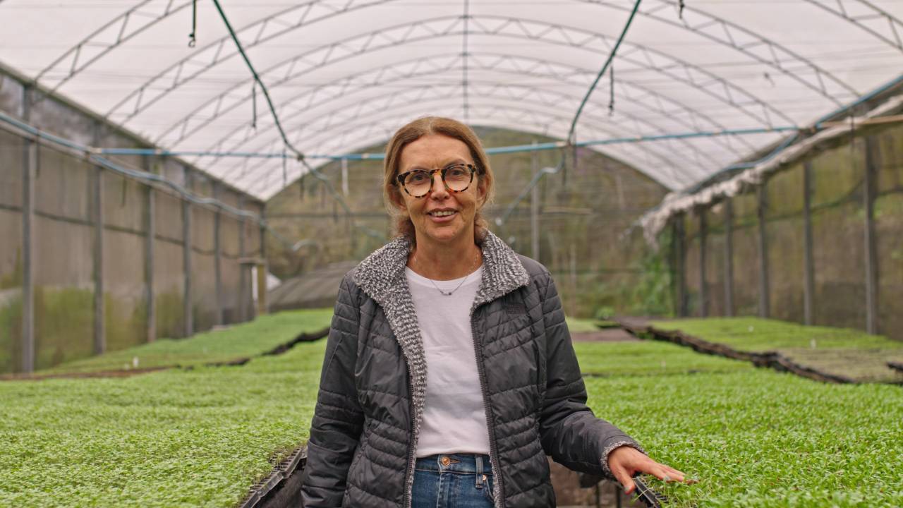 Fátima Anselmo, em sua produção de orgânicos