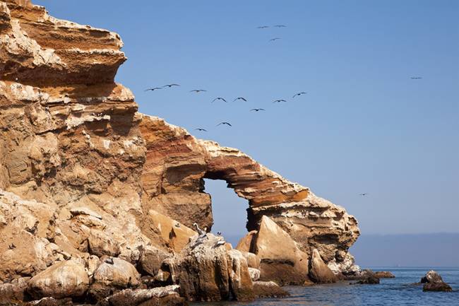 Ilhas Ballestas, no Peru