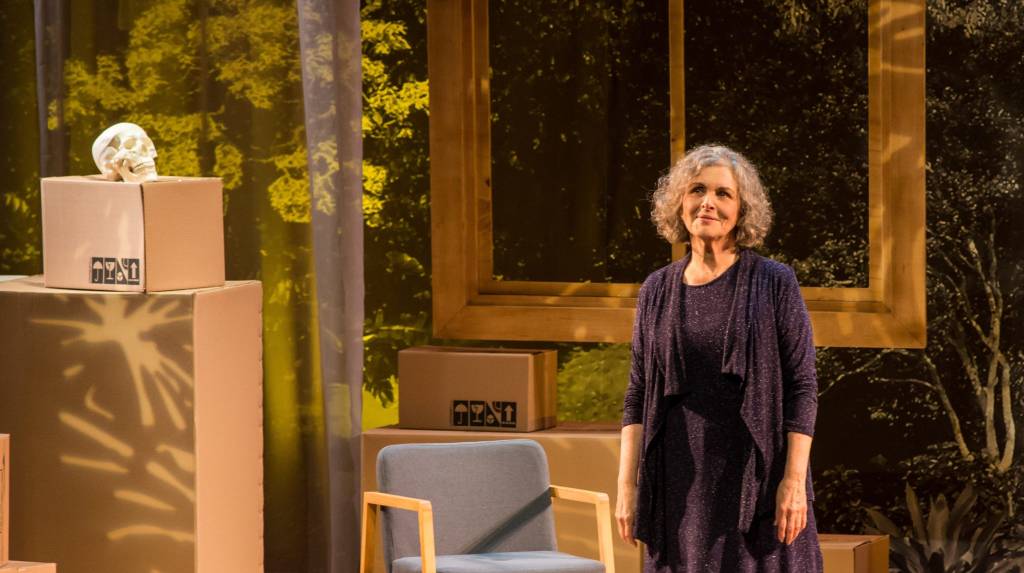 Solo de Irene Ravache entra em cartaz; confira mais estreias no teatro