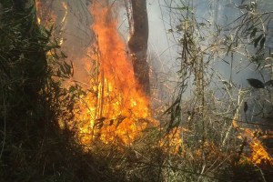 incendio-parque-nacional-da-serra-dos-orgaos