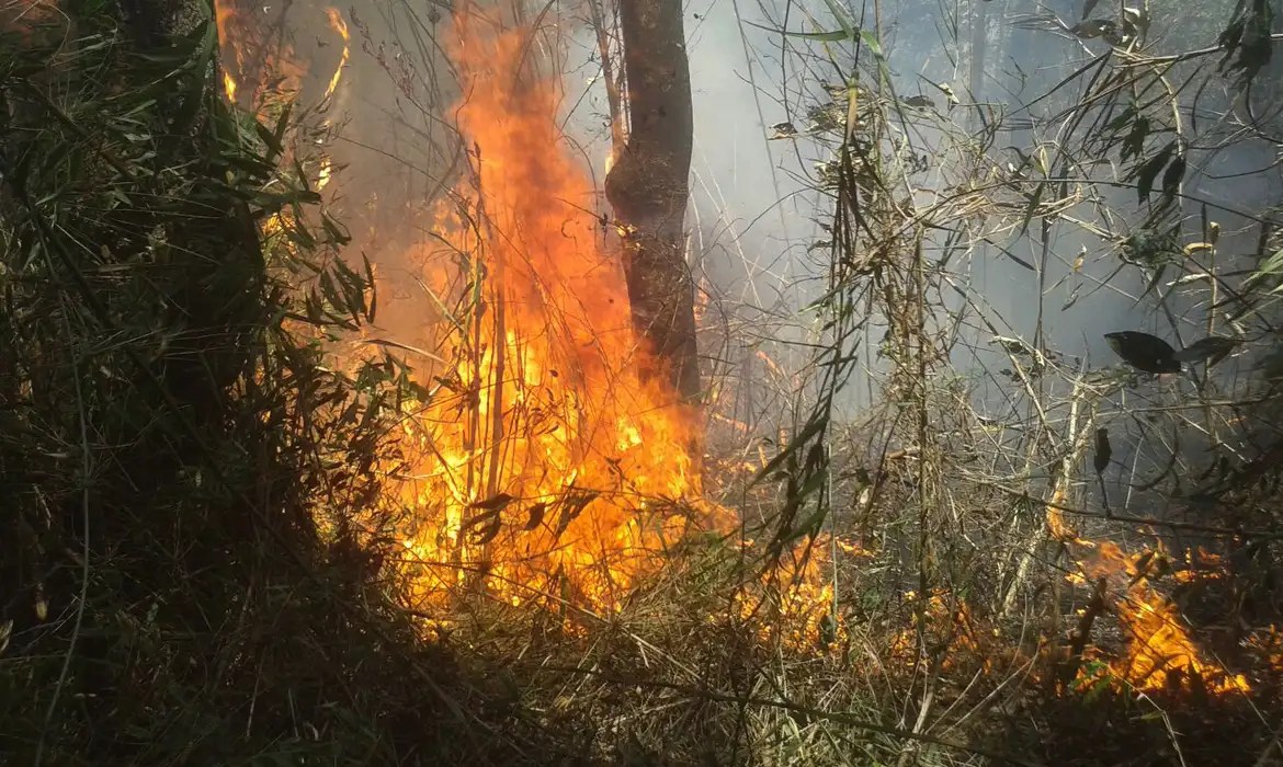 incendio-parque-nacional-da-serra-dos-orgaos