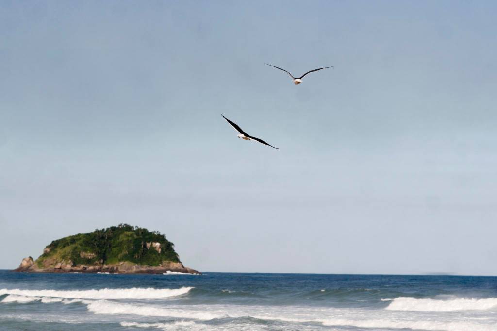 Grumari e mais 11 praias no estado do Rio ganham selo de sustentabilidade