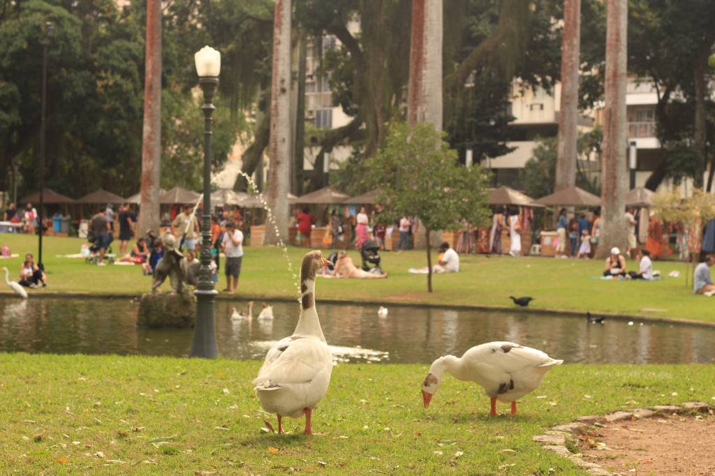 IMG_0765 IMG_0765