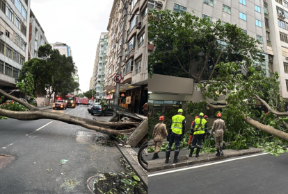 temporal-queda-arvore-copacabana