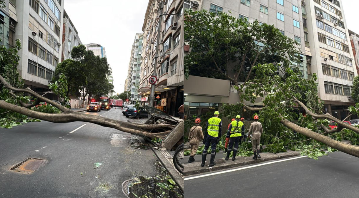 temporal-queda-arvore-copacabana