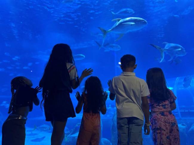crianças-aquario