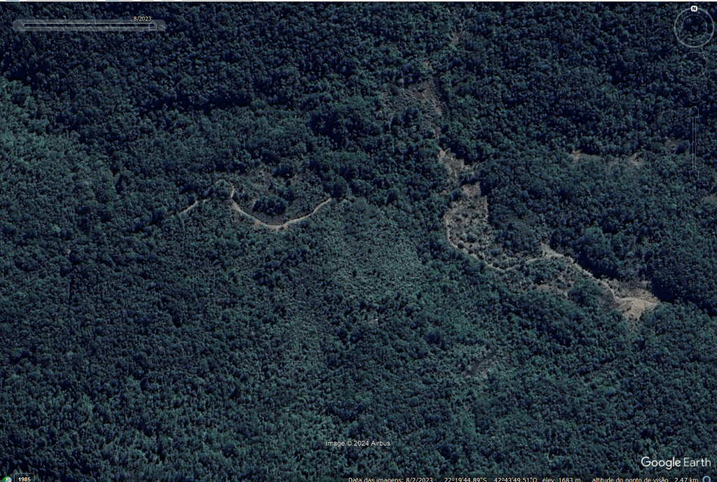 Rio é o único estado brasileiro que aumentou vegetação nativa em 40 anos