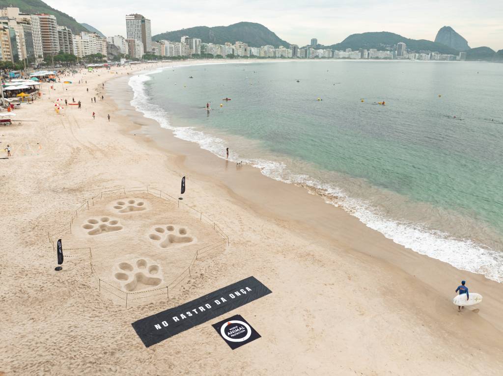 “No Rastro da Onça”: patas gigantes de felino nas areias de Copacabana