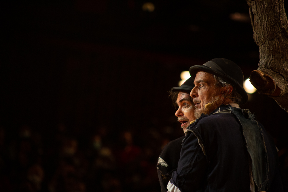 Alexandre Borges: “Estar em cena é a melhor forma de homenagear Zé Celso”