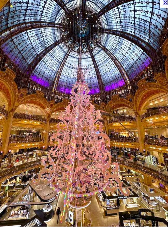 arvore galeries