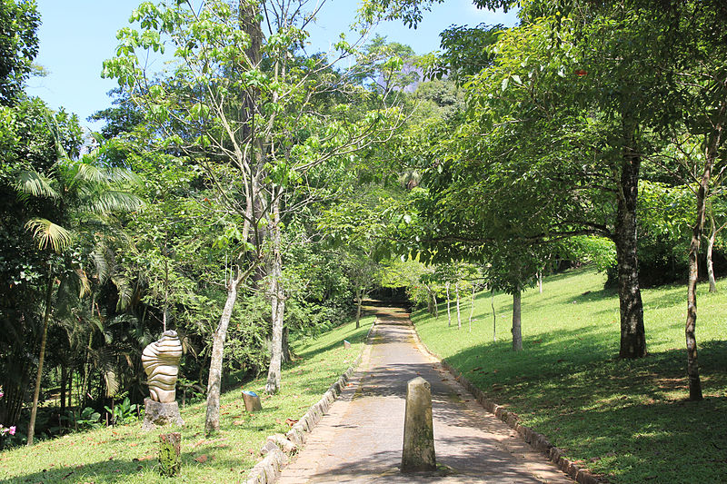 Homem levou picada de cobra no Parque da Cidade, e não no Leblon