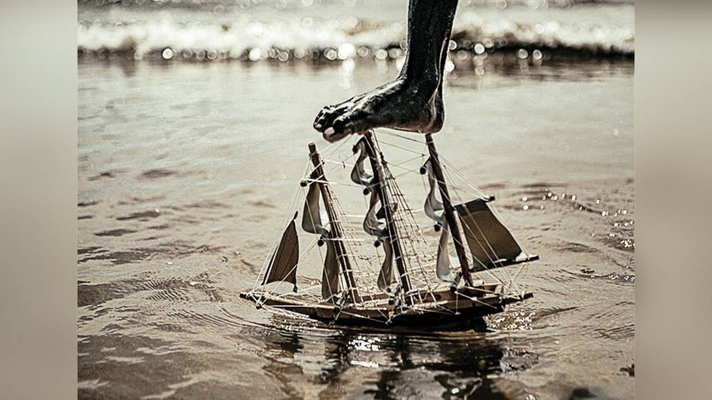 Em cartaz no MAR, mostra AtlânticoFloresta celebra identidades do Brasil