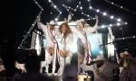 Beyoncé faz show no intervalo da NFL