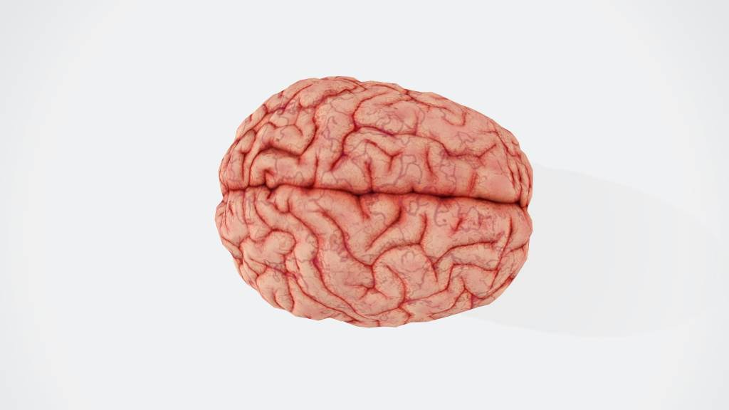 Brain Rot: palavra de 2024 critica a qualidade do conteúdo digital atual