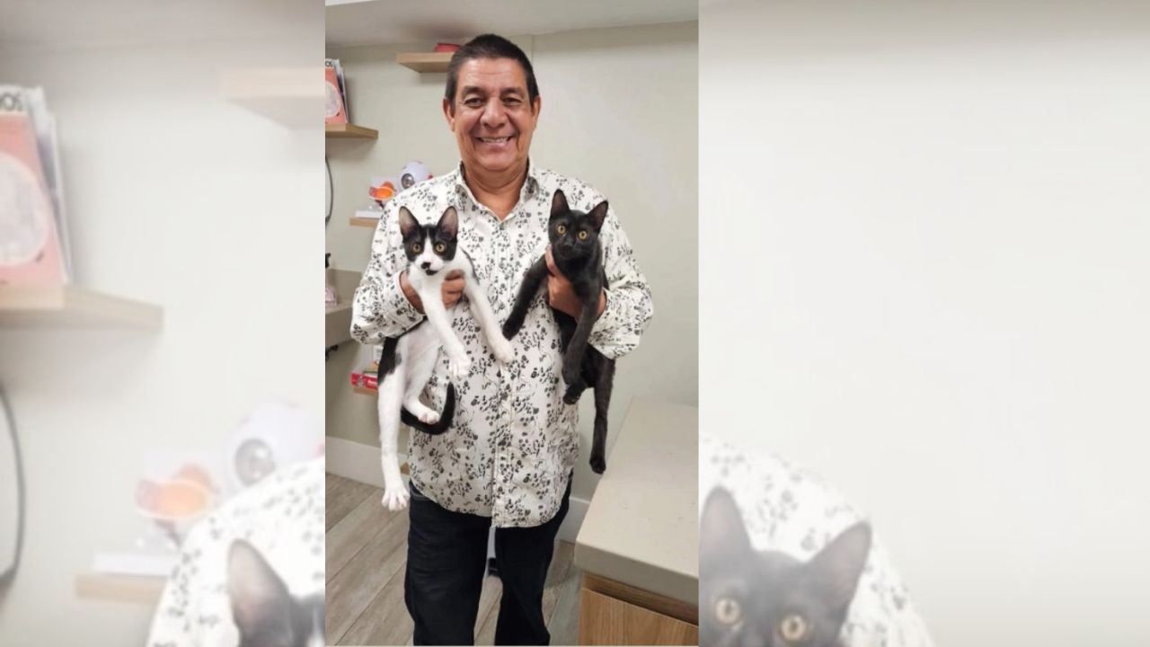 zeca-pagodinho-gatos
