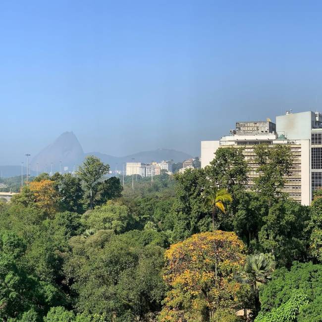 vista 1