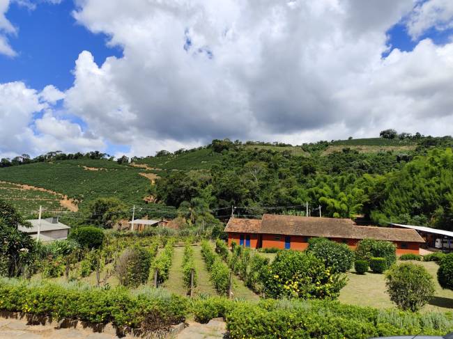 Vinho Tassinari3