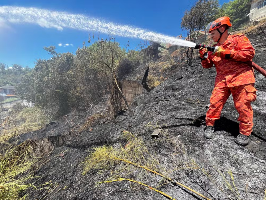 Sem chuva no verão, número de incêndios em matas sobre quase 400%