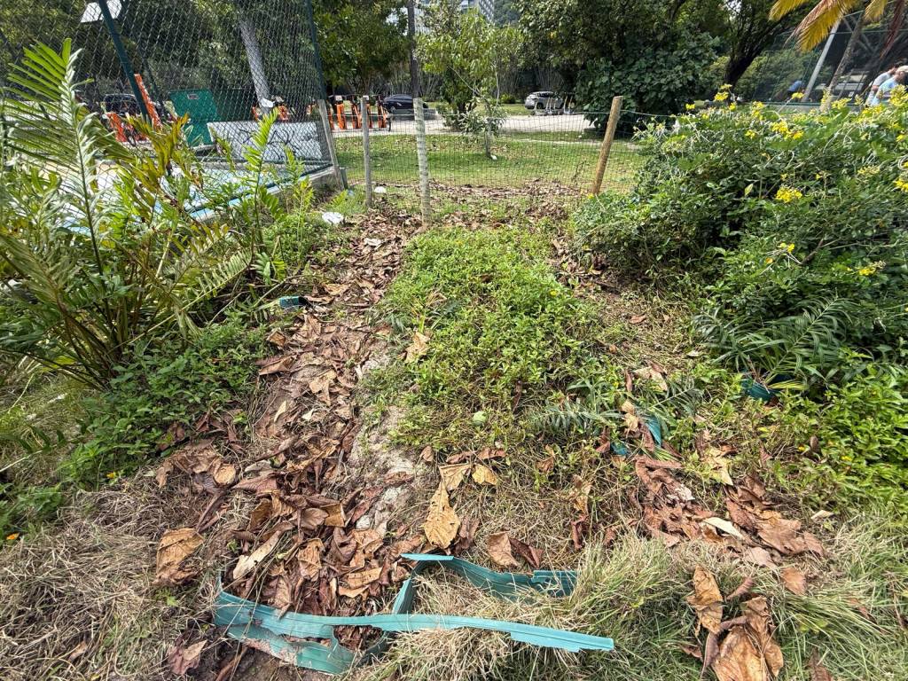 Caminhonete destrói trecho de vegetação naturalizada na Lagoa