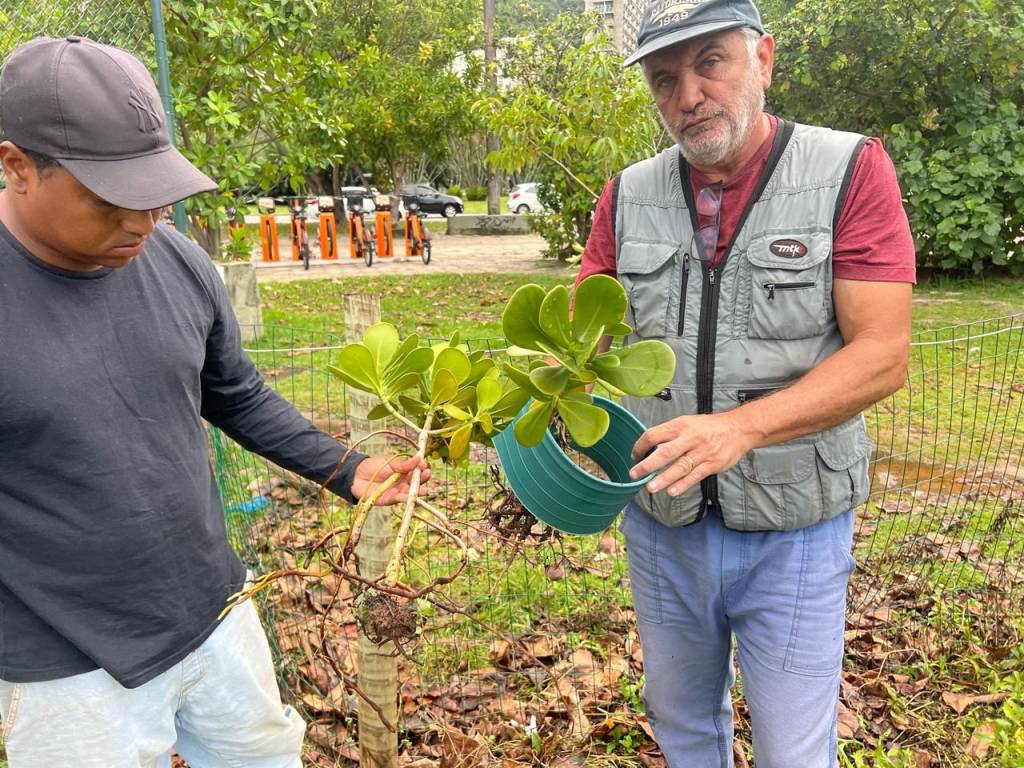 Empresa que presta serviço para a prefeitura assume danos na Lagoa