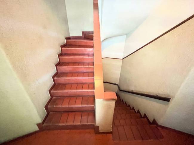 patio inteiro