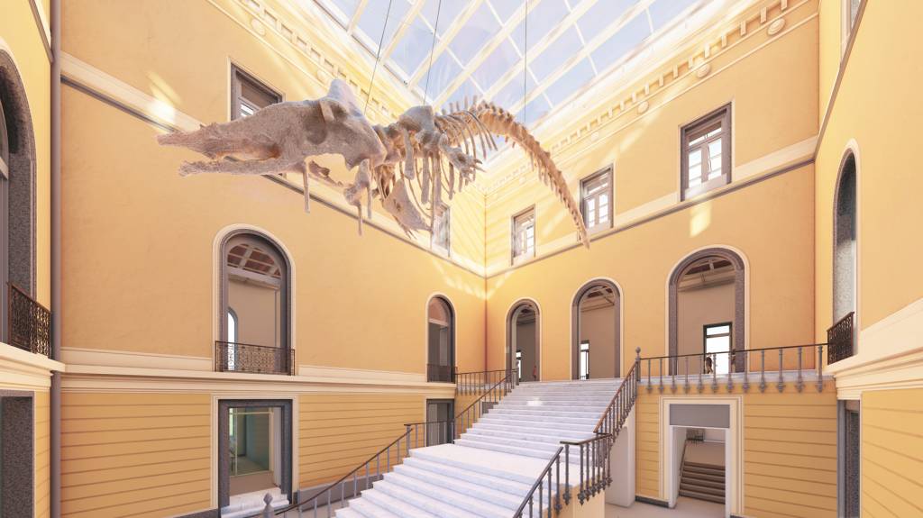 Museu Nacional – escadaria monumental credito divulgacao museu nacional.png A escadaria monumental ganhou uma claraboia e um esqueleto de cachalote