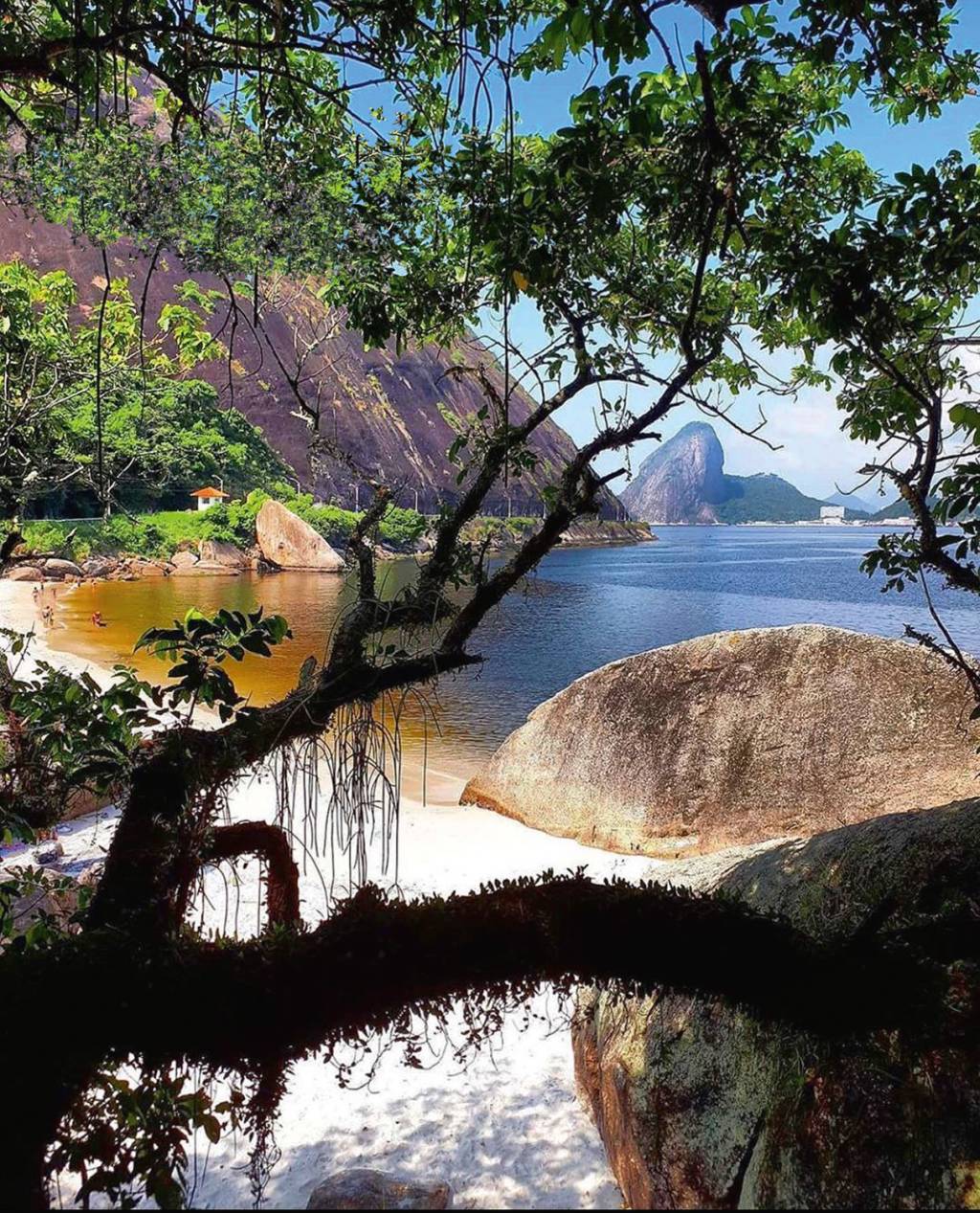 De outro ângulo: o que há de novo em tour pela Baía de Guanabara