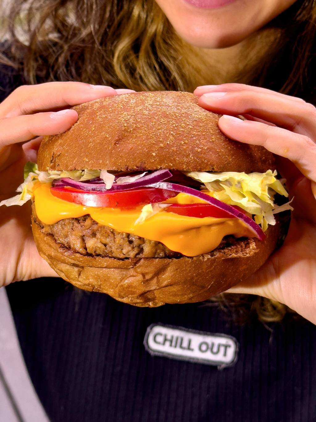 Refúgio-Veg refúgio-veg-hamburguer-vegano
