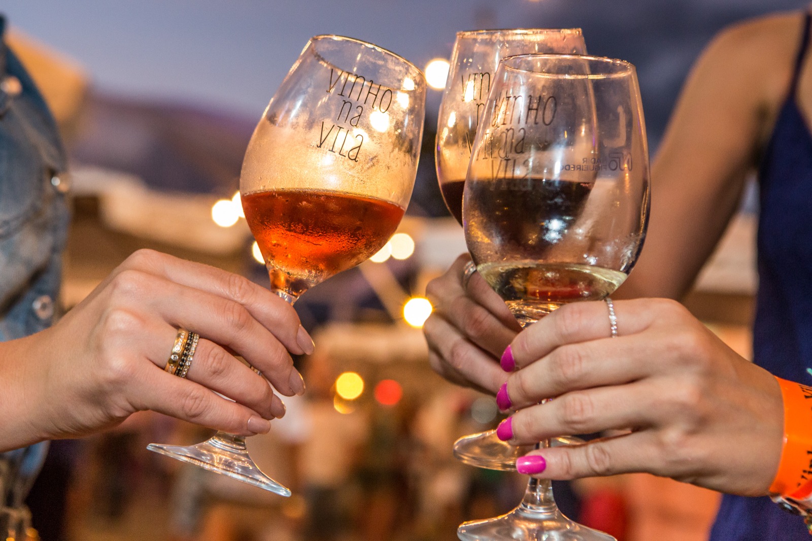 Vinhos na Vila (8)