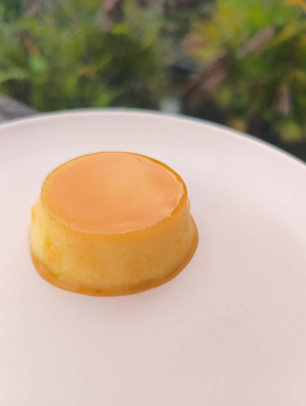 Gastronomia do Horto Gastronomia do Horto tem pudim de caramelo