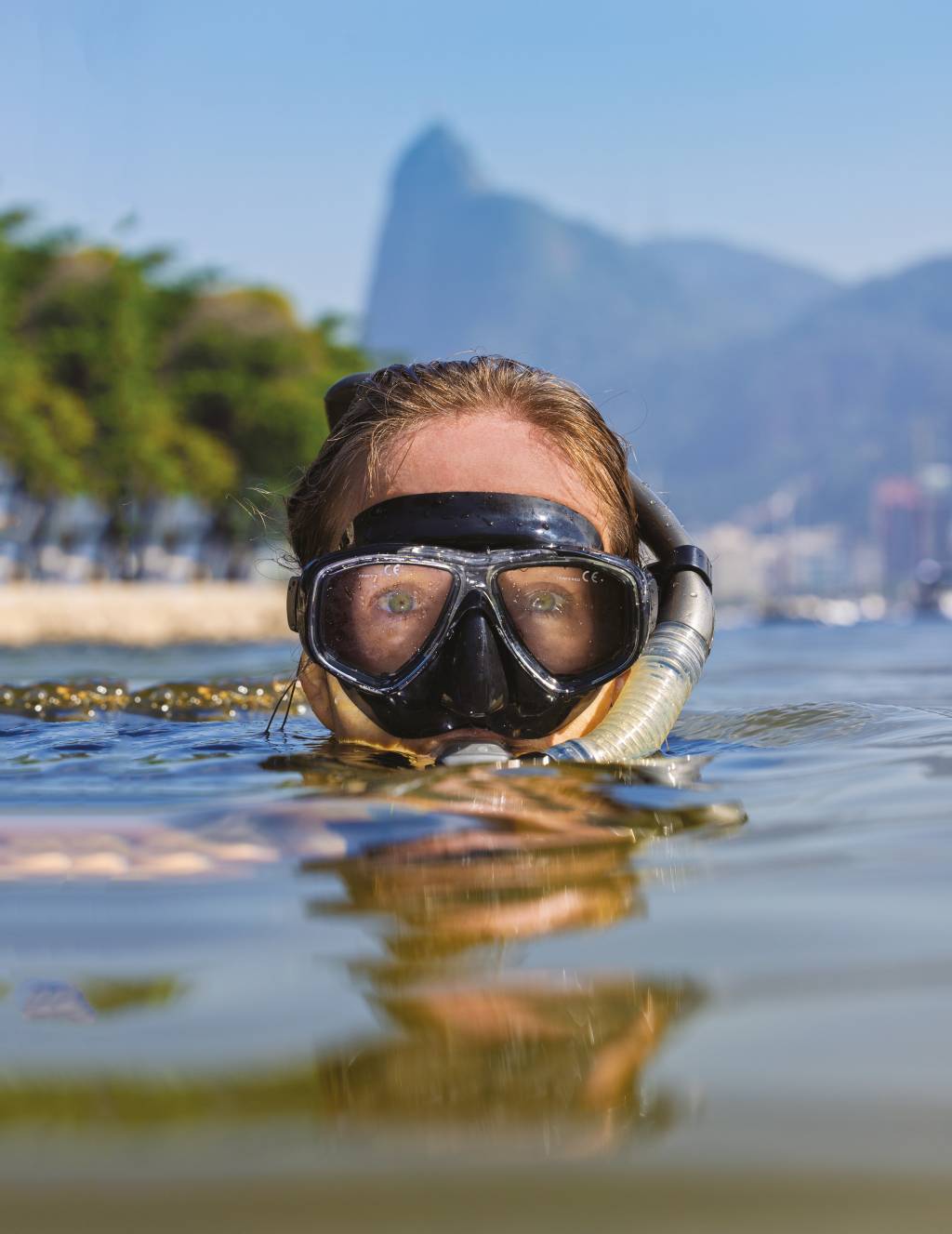 Cartão-postal carioca, Baía de Guanabara embarca em maré boa e revive