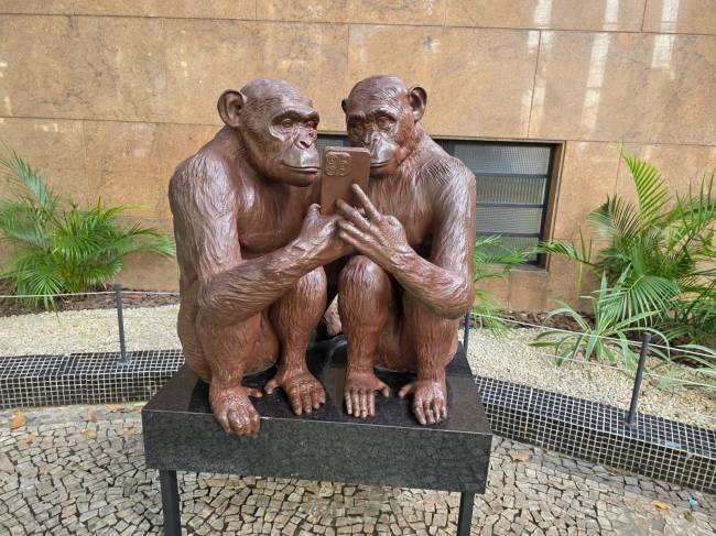 Dois símios observando o celular na Dias Ferreira, no Leblon