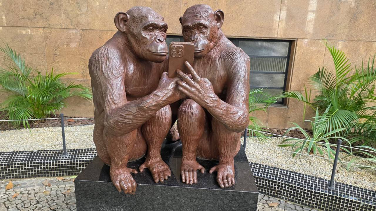 Escultura de chipanzés na Dias Ferreira assusta miquinhos moradores das árvores locais