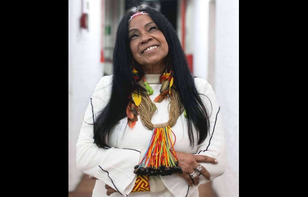 Eliane Potiguara, primeira indígena inscrita na ABL