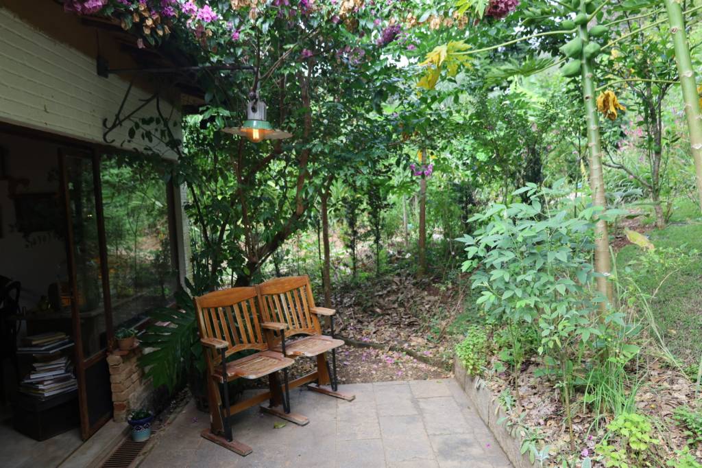 0I2A4740 detalhe do jardim agroflorestal de Lydia Gonzalez