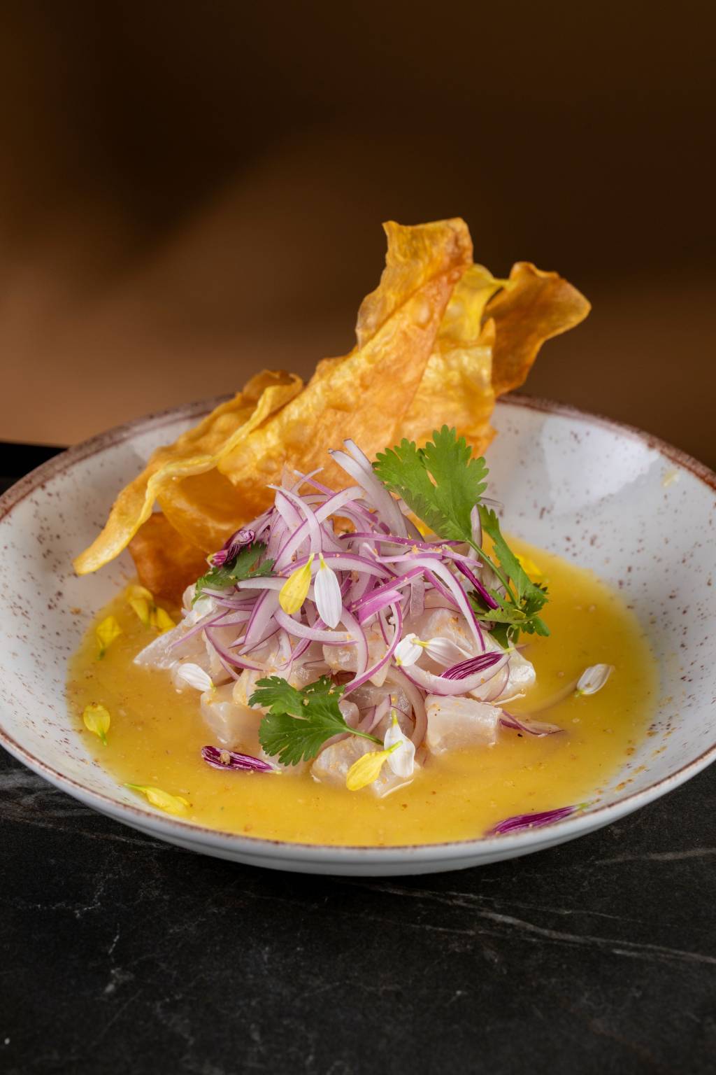 Cevichedepeixe TomasRangel (3) Ceviche do Pato com Laranja