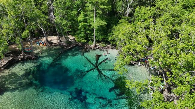 Cypress Springs: a nascente é imperdível
