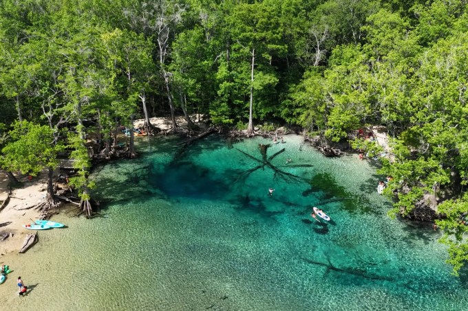 Cypress Springs