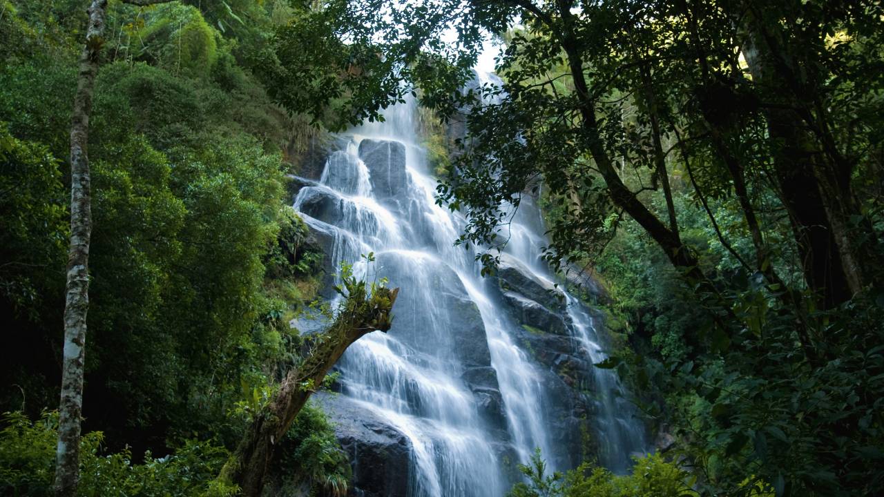 parque-nacional-itatiaia