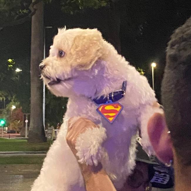 O Krypto brasileiro