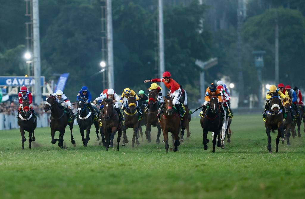 Turfe: total de R$ 6 milhões em garanhões e éguas