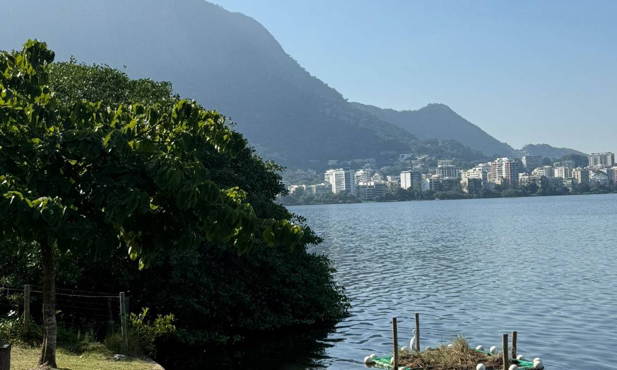 Projeto de gestão dos manguezais da Lagoa Rodrigo de Freitas com apoio da Águas do Rio