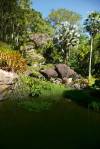 País tropical: mais de 3 500 espécies de plantas raras, nativas e exóticas permeiam os jardins de Burle Marx