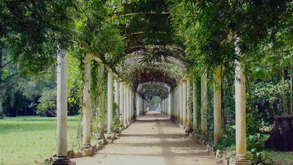 Jardim Botânico: Trilha das Especiarias pelos 217 de fundação