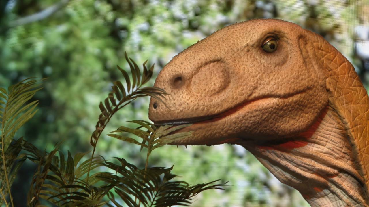 replica-dinosssauro