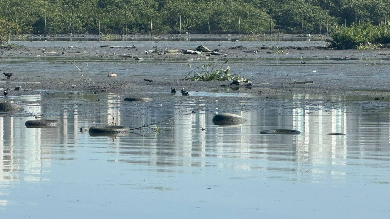 Biólogo contou 157 pneus na lagoa da Tijuca
