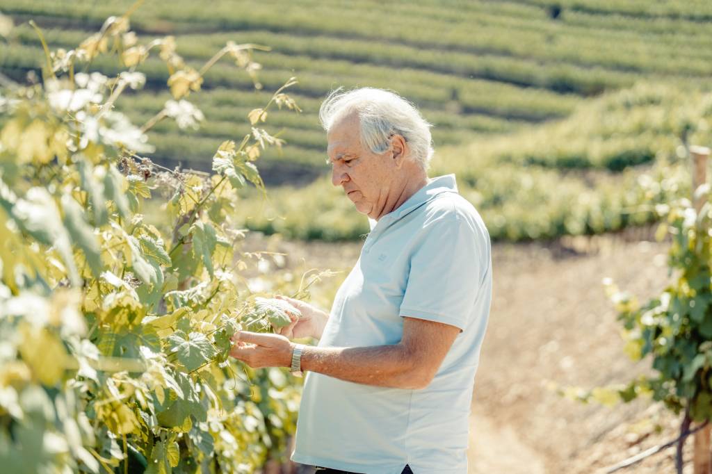 Rubens Menin investe €60 milhões no Douro e quer retorno de 20% ao ano