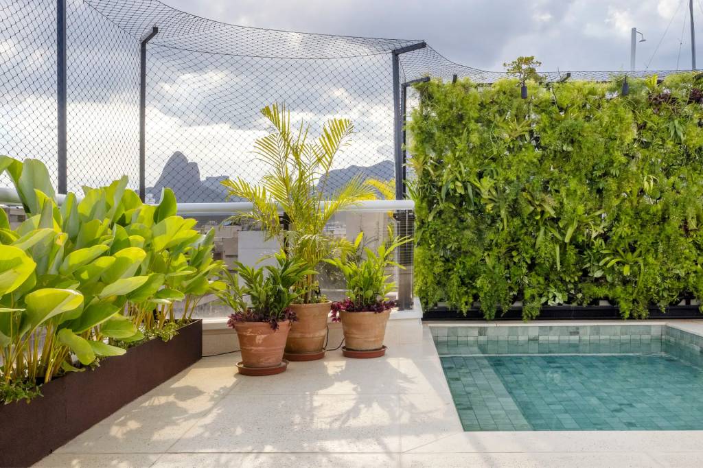 terraco-100-m2-cobertura-carioca-paisagismo-tropical-anna-luiza-rothier-credito-andre-nazareth-8 Terraço de 100 m² em cobertura carioca ganha paisagismo tropical